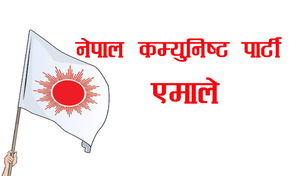 एमालेका अधिकांश कमिटीका अधिवेशन सम्पन्न