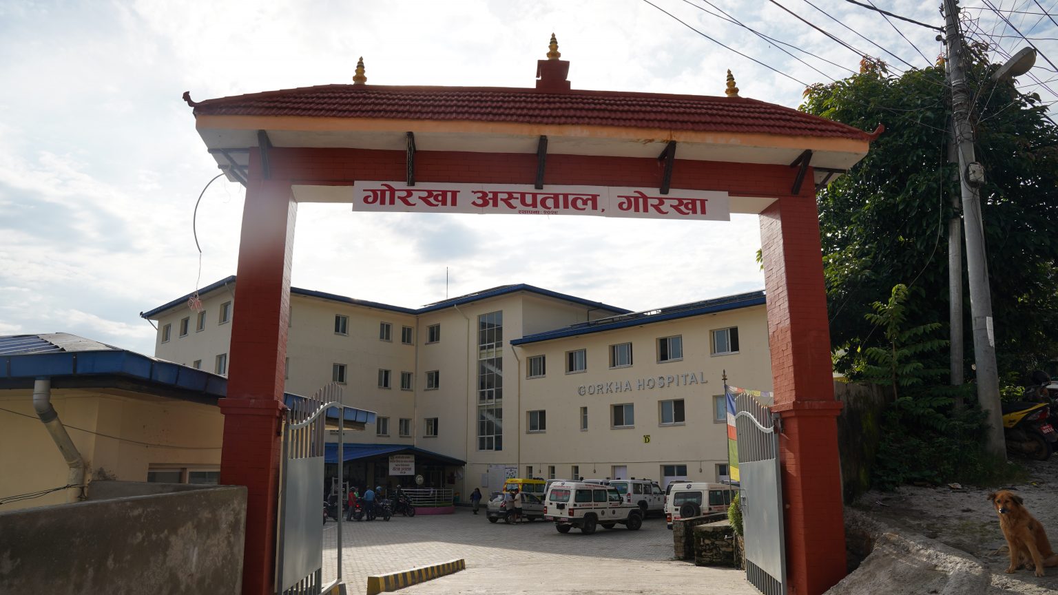 गोरखामा स्क्रब टाइफसको सङ्क्रमण तीव्र रूपमा बढ्दै