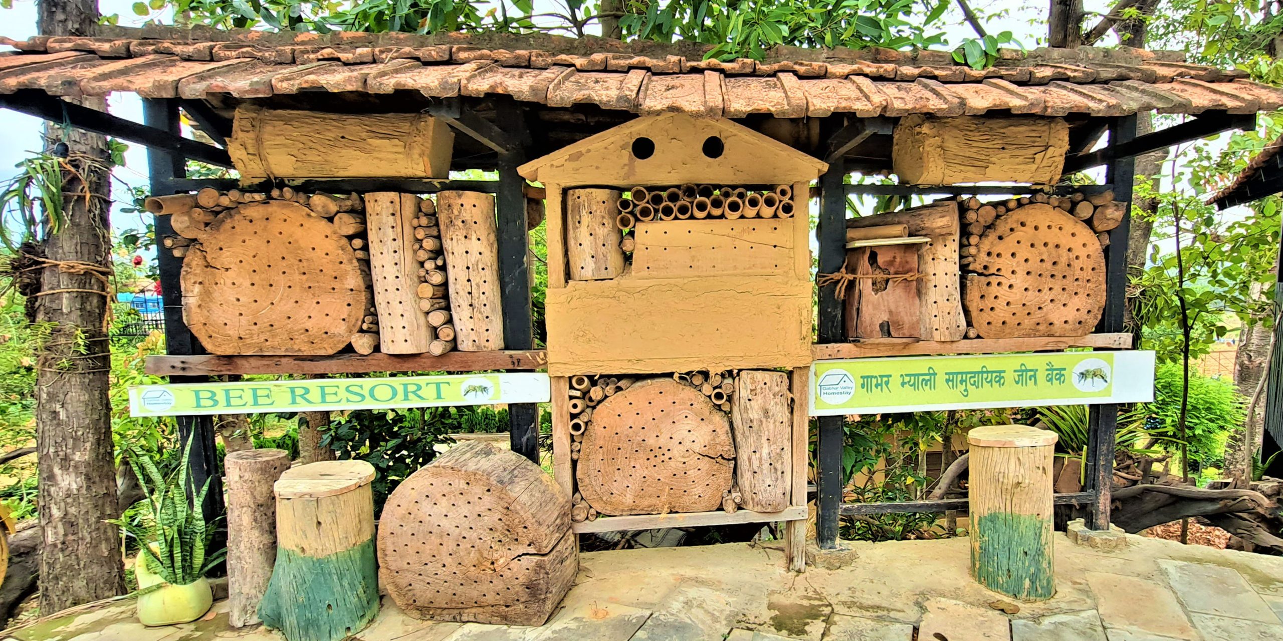 प्रकृति र संस्कृतिको संगम गाभर भ्याली होमस्टे