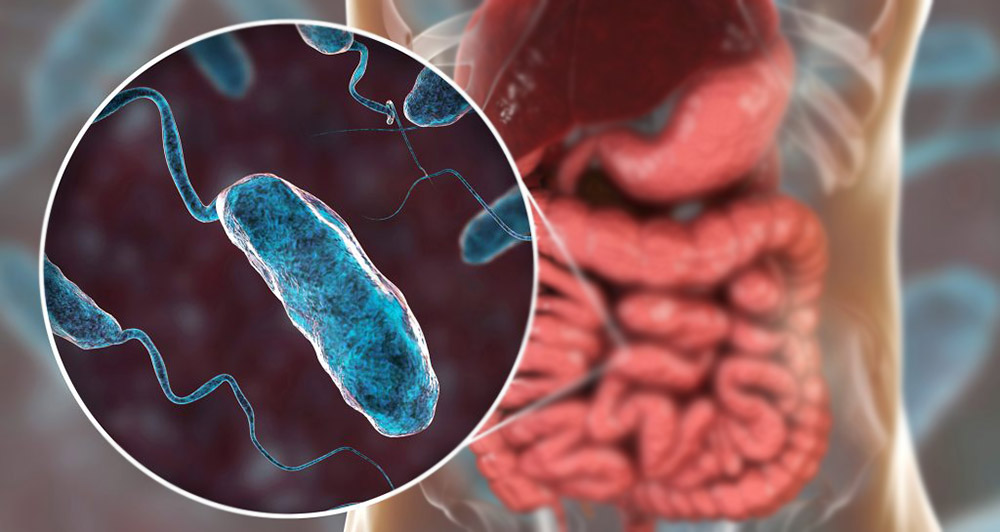 बारा र पर्सामा हैजाविरुद्धको खोप ९० प्रतिशतलाई लगाइयो