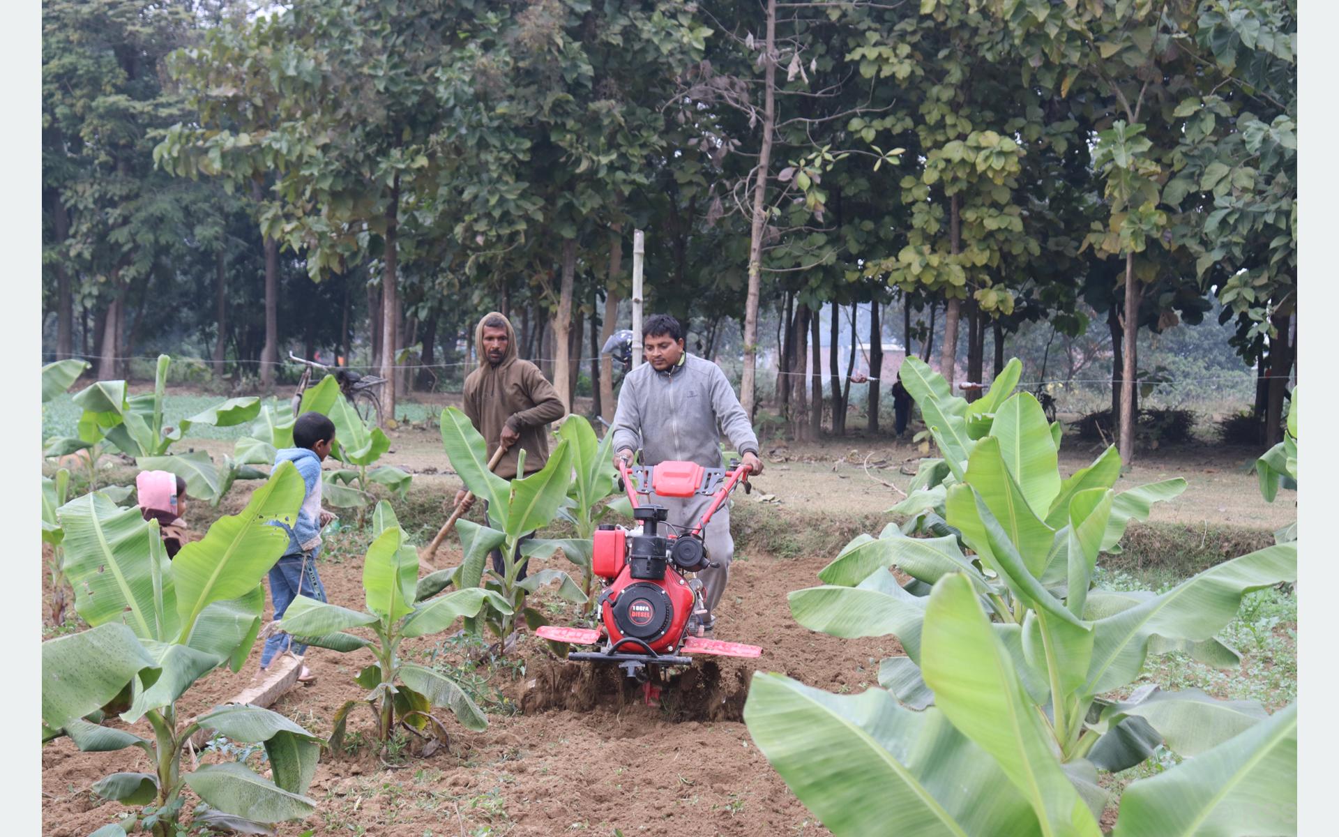 शिक्षण पेसासँगै कृषिमा रमाउँदै सर्वेन्द्र %