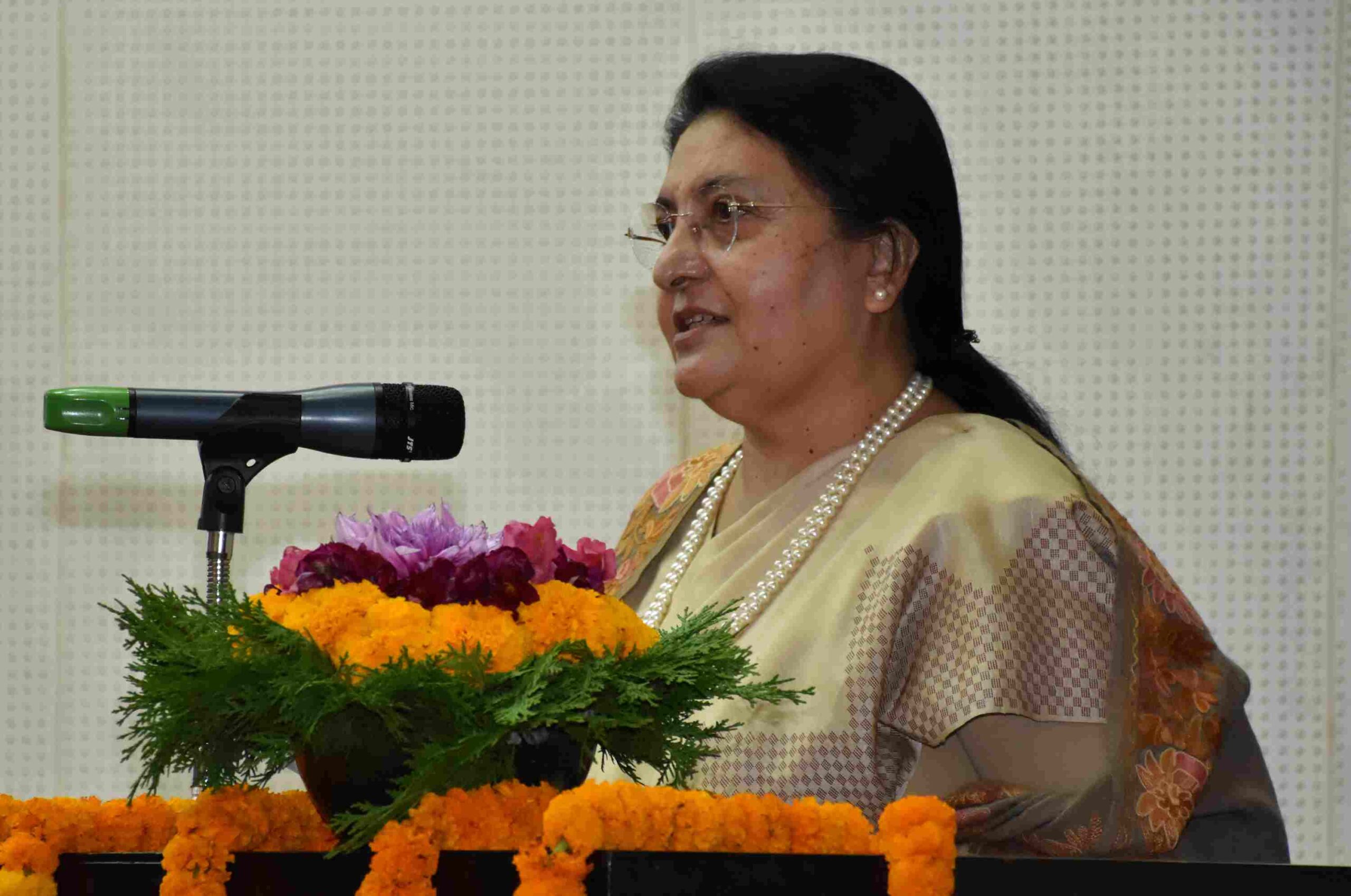 देशको समृद्धि सपना होइन सङ्कल्प बन्नुपर्छः पूर्वराष्ट्रपति भण्डारी