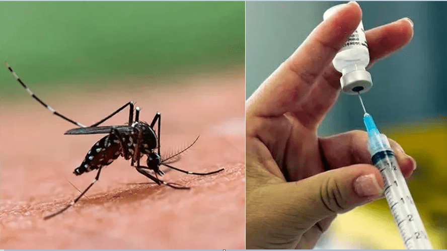 पोखरामा डेङ्गु रोकथामका लागि यस्तो छ तयारी