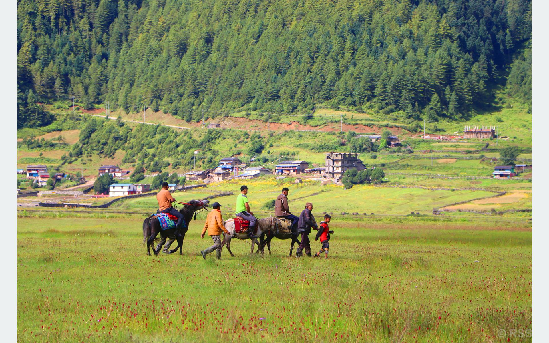 ढोरपाटनमा पर्यटक बढेपछि घोडा व्यवसाय फस्टाउँदै